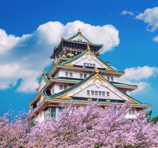 Osaka Castle with cherry blossom trees