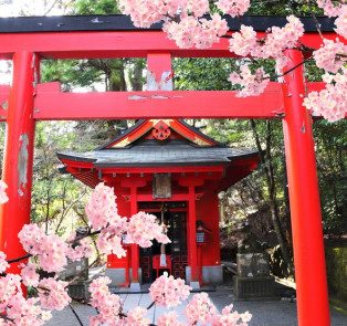 The famous Hakone Shrine