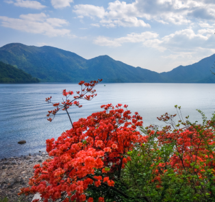 Most popular day trips to Lake Chuzenji 