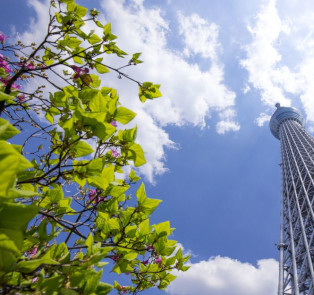 Tokyo Skytree, Tokyo, Japan