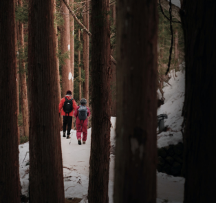 Hiking trails out of Tokyo with guides from City Unscri