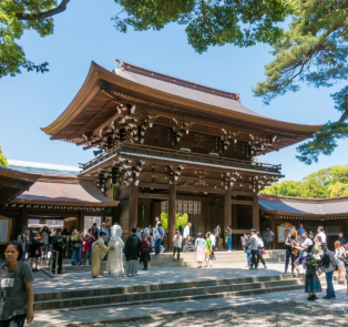 Join your private guide in Tokyo and learn the sights o