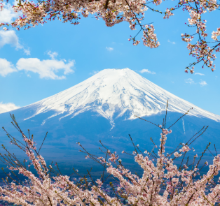 Day trips from Tokyo to Mount Fuji, Japan