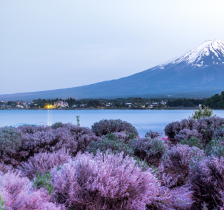 Mount Fuji from Lake Kawaguchi, Japan