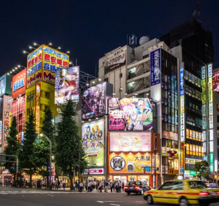 Known as Tokyo's Electric Town