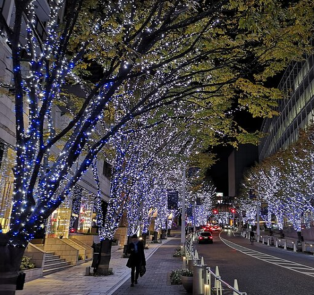 Dive into Christmas time to visit Tokyo