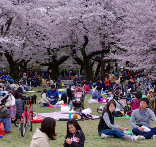 Tokyo's average temperature makes you wonder