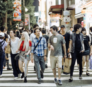 Tours with locals in Tokyo before cherry blossom