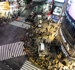 Discover the best time to visit Tokyo by walking with a