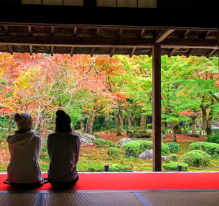 Beautiful view of Tokyo in autumn