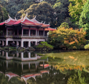 Tokyo parks in yellow colors