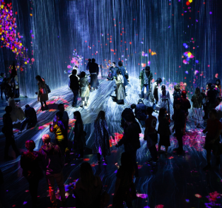 Enjoy the stunning teamLab Borderless digital art museu