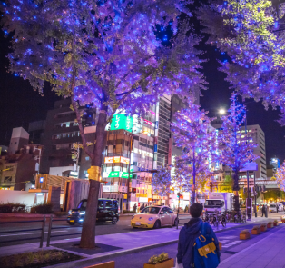  Will it snow in Osaka in December?