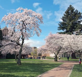 The University of Washington