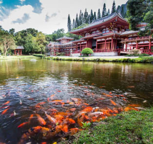 Visit amazing temples on a Kyoto day trip