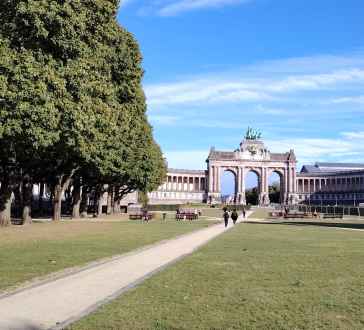 Stroll Through the Heart of Brussels: A Majestic View
