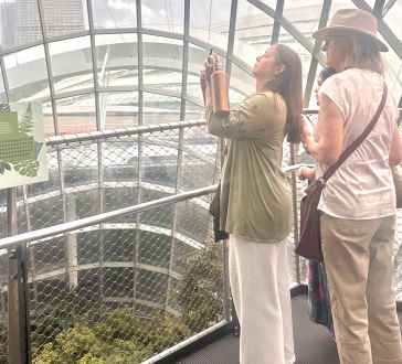Skyward Glance: Capturing Wonders Under the Dome