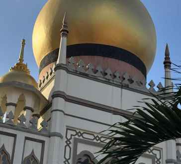 Golden Serenity: Where Earth Meets Sky