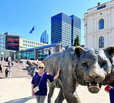 A Stroll with the Oslo Tiger