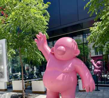 Welcoming Waves: The Pink Pal of the Plaza