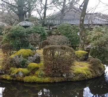 Traditional building with tiled roof visible behind Japanese garden foliage.