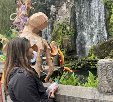 Guest photo