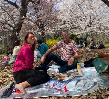 Blossom Moments: A Spring Picnic Under Cherry Trees