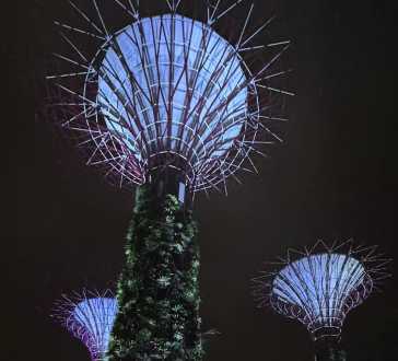 Enchanted Giants Under the Night Sky