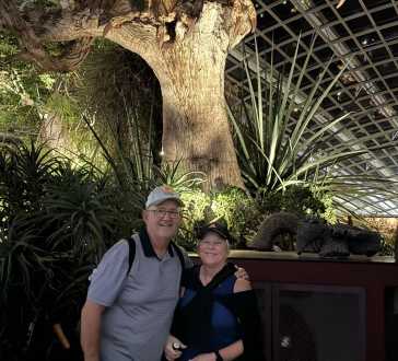 Under the Watchful Eyes of the Wooden Dragon