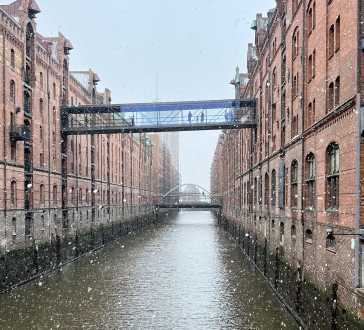 Winter's Embrace in the Heart of the City