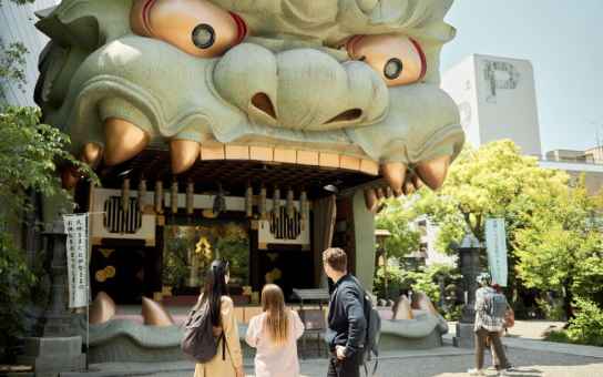 Half day discovering electrifying Osaka