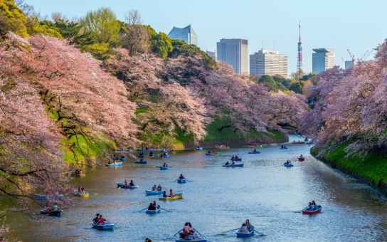 Discover Your Tokyo: A Full Day, Your Way