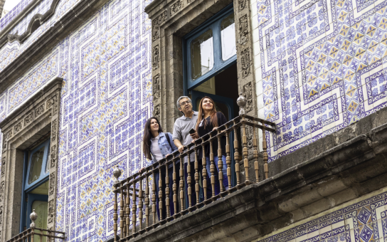 Your Mexico City, Unscripted: A Personalized Half-Day in CDMX