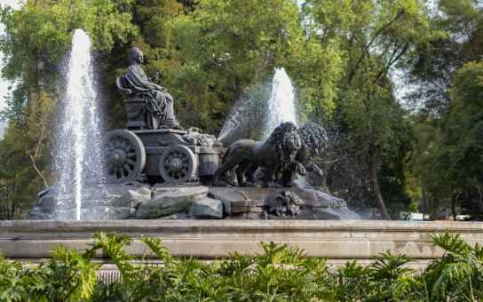 Mexico City, Your Way: A Fully Flexible Day of Discovery