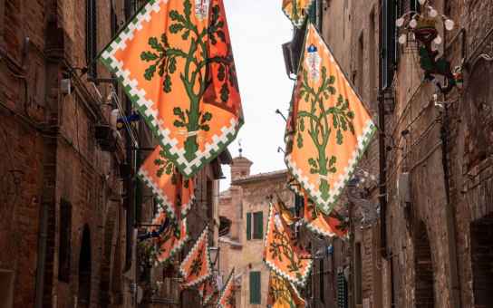 First Day in Siena: Orientation in the Campo & Beyond