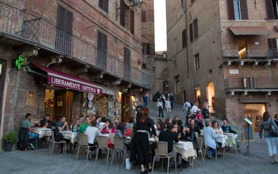 Siena Wine Journey: Tuscan Tastings & Local Delights