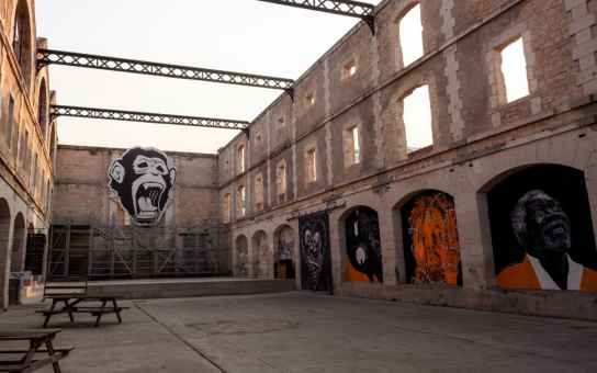 Essential Bordeaux: Where Famous Sights Meet Hidden Local Secrets.