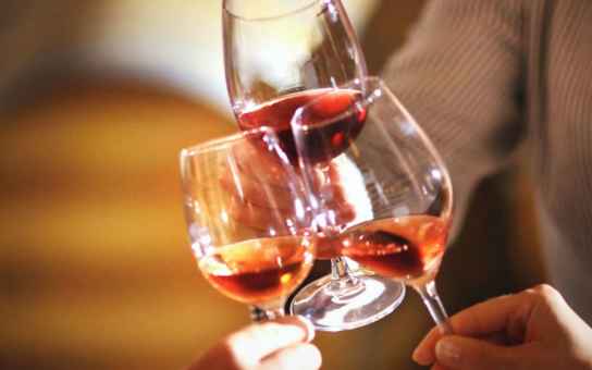 Tastes of Pisa: Street Food, Wine and Sweet Tradition