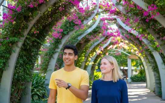 Brisbane Your Way: A Personalized 4-Hour Exploration