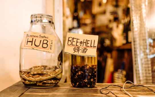 Discover the Craft and Culture of Sake in Tokyo