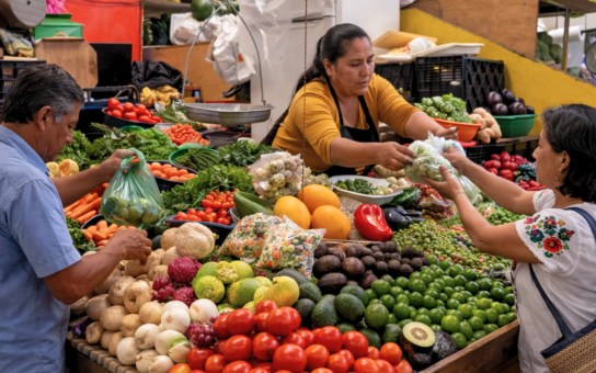 Your Mexico City Kickstart: A Personalized 2-Hour Experience