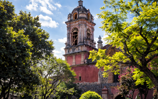 Your Mexico City Kickstart: A Personalized 2-Hour Experience