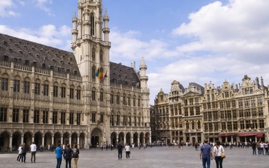 Your Brussels Kickstart: A Personalized 2-Hour Experience