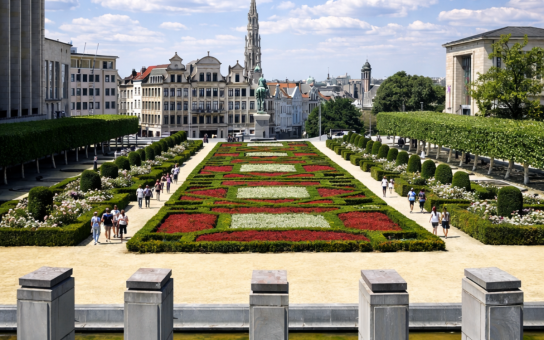 Your Brussels Kickstart: A Personalized 2-Hour Experience