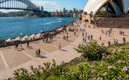 Your Sydney Kickstart: A Personalized 2-Hour Experience