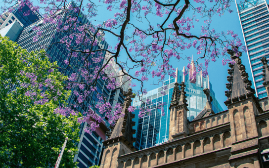 Sydney Your Way: A Personalized 4-Hour Exploration