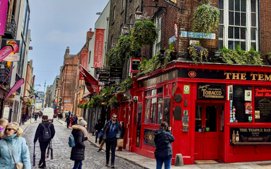 Personalized Dublin Half-Day Experience with Local Host