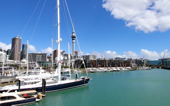 Auckland Private 3-Hour Kickstart Experience with a Local