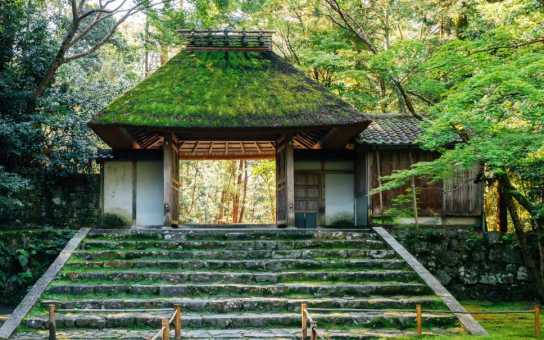 Kyoto, Your Story: A Full-Day of Icons, Culture & Hidden Gems