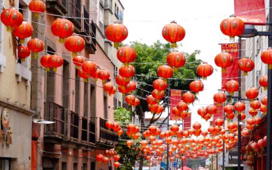 Mexico City, Your Way: A Fully Flexible Day of Discovery